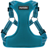 X Small / Turquoise